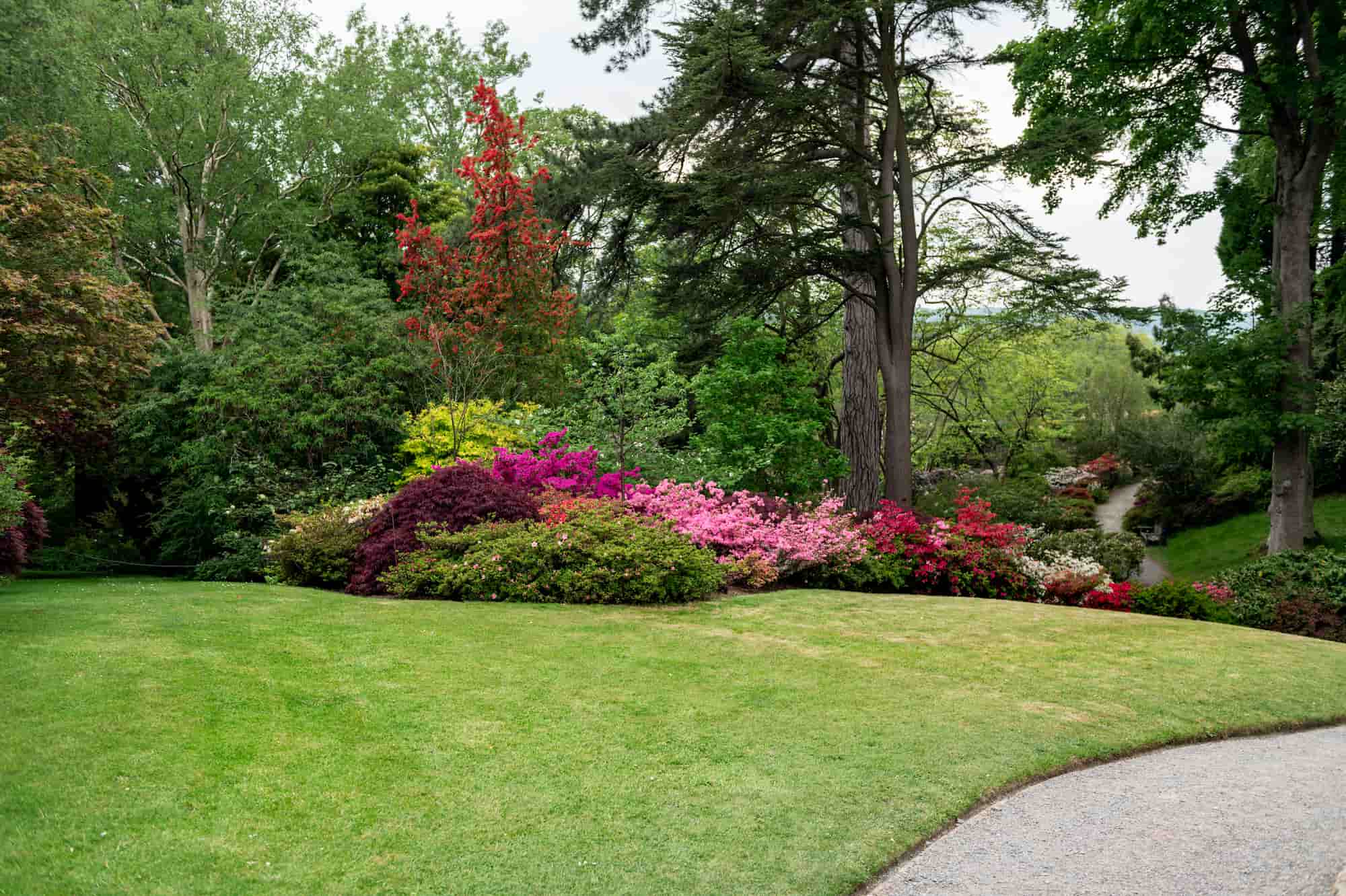 beautiful garden with blooming trees during spring 2026 03 18 15 11 03 utc.jpg